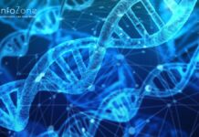 Unlocking the Secrets of Life: Why is Genomics Important in Biology? Why is Genomics Important in Biology